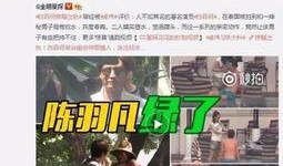 丁姐爆料视频大全最新版,揭秘娱乐圈不为人知的一面